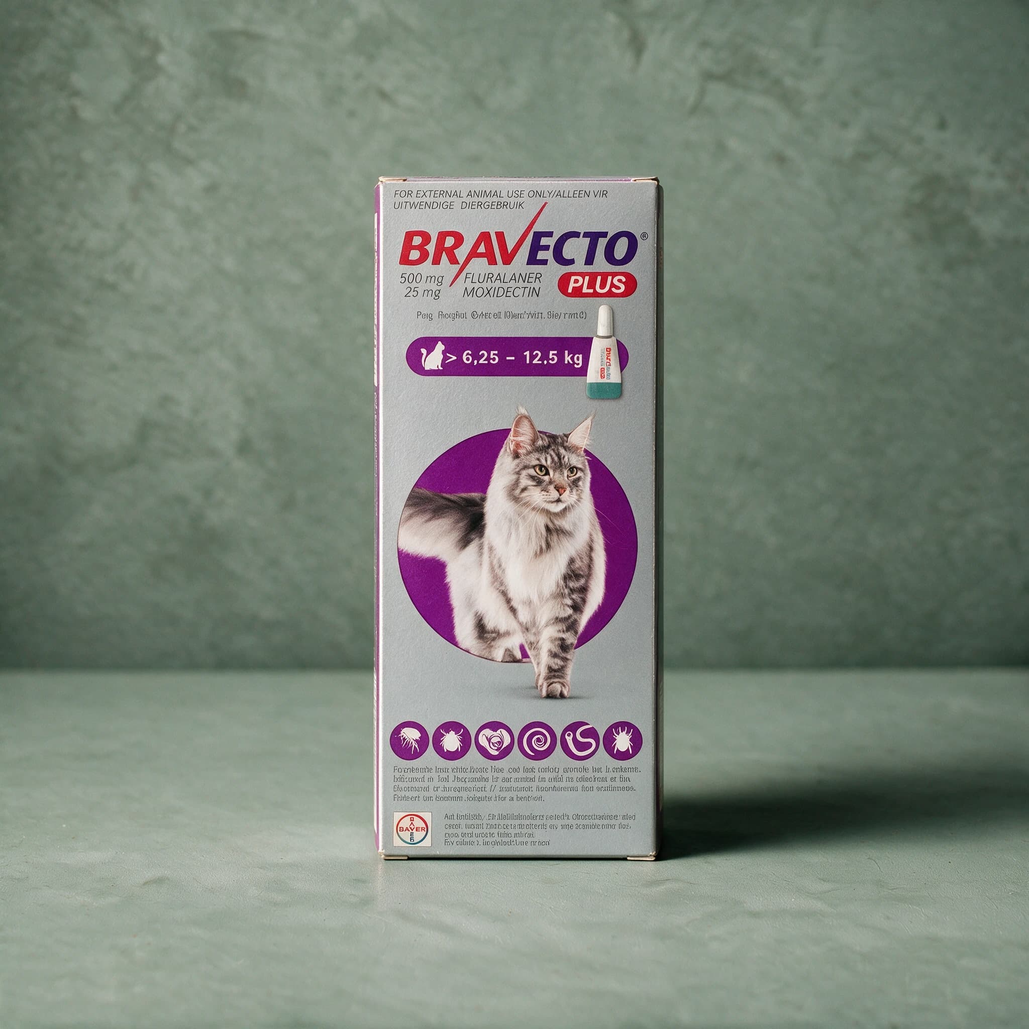 Grey/silver Bravecto Plus for Cats box, purple band, 6.25-12.5kg pack (500mg fluralaner + 25mg moxidectin), with the Bravecto logo and a flea/tick/heart/roundworm-hookworm icon row on the front panel.