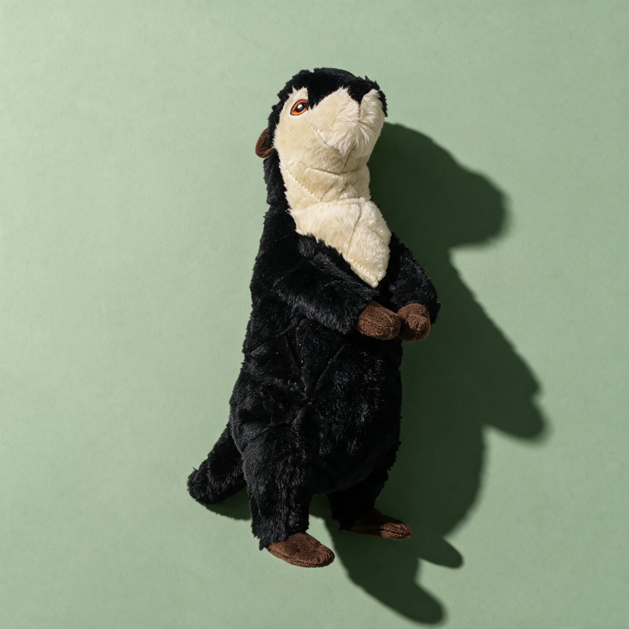 Close-up of the Mighty Toys plush meerkat toy alone, standing upright with black fur, a cream face and chest, brown paw pads, and embroidered eyes, on a sage green background.