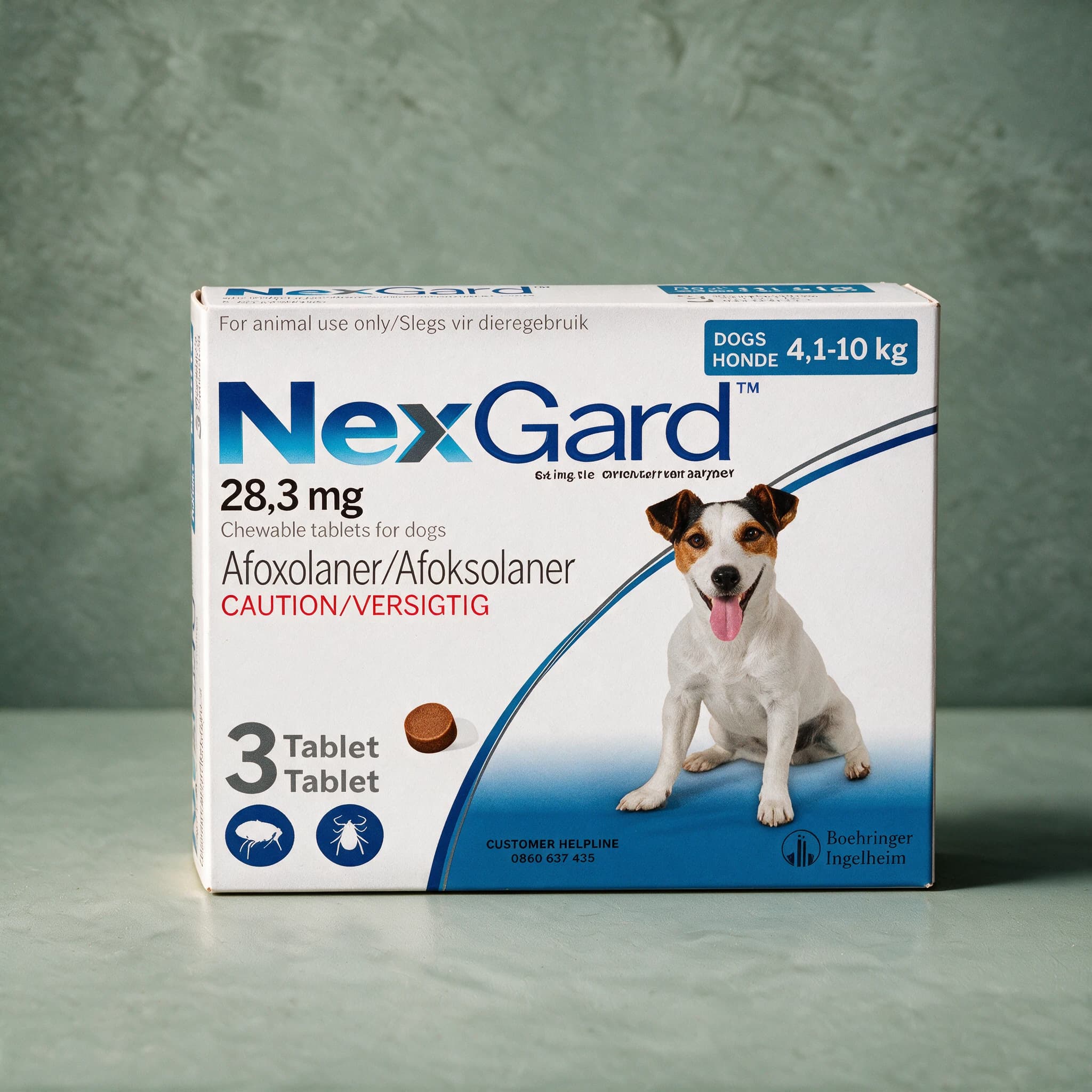 Blue and white box of NexGard Chewable Tablets for 4.1-10kg Dogs pack, with a Jack Russell dog picture and a single-tablet dosage illustration on the front panel.