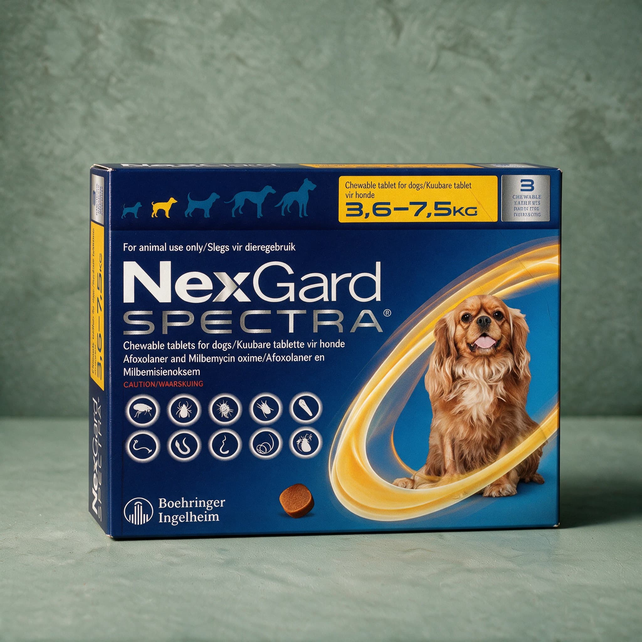 Yellow and navy box of NexGard Spectra Chewable Tablets for Dogs, 3.6-7.5kg pack, with the NexGard Spectra logo, small light brown, fluffy dog picture and flea/tick/worm icon row on the front panel.