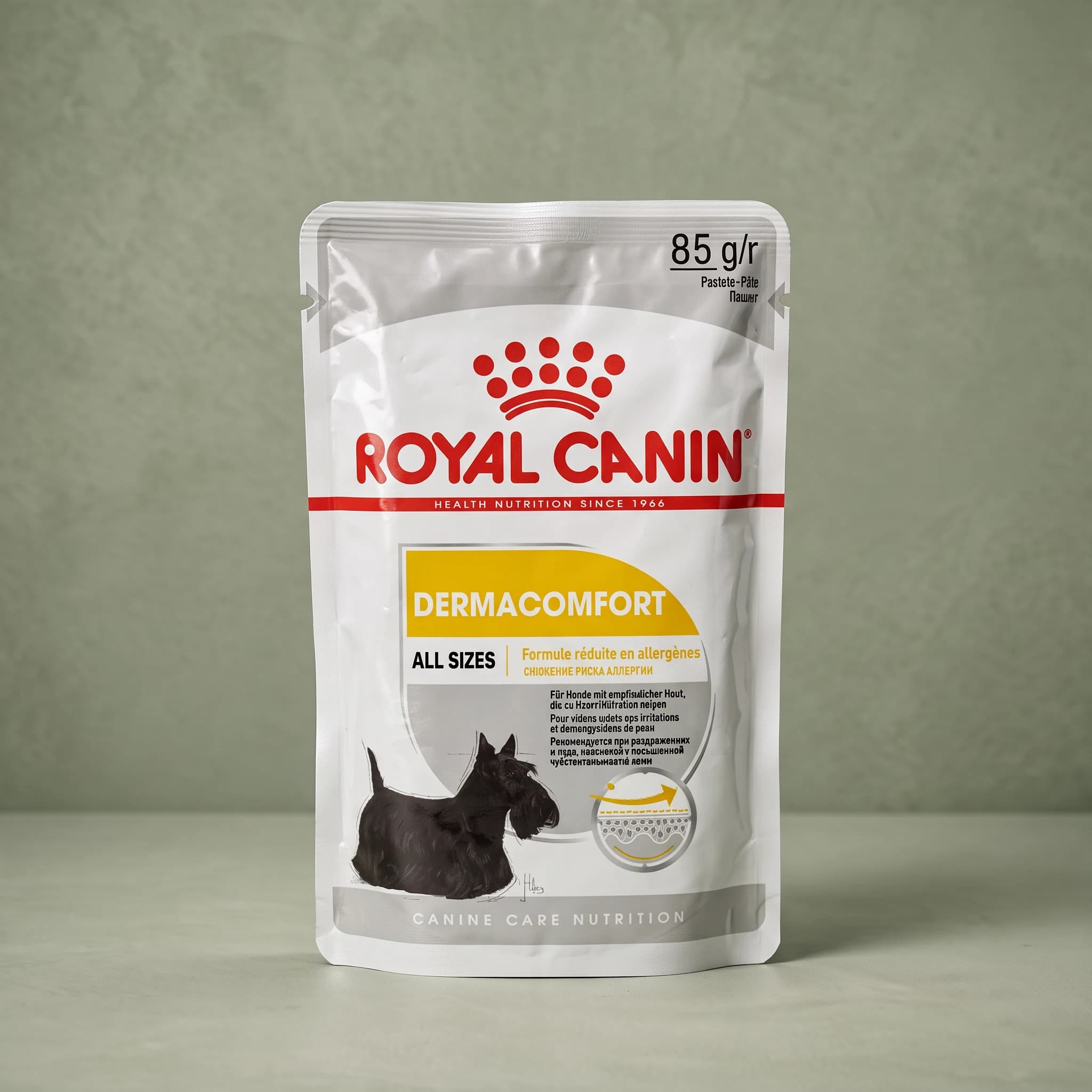 A white and yellow Royal Canin foil pouch labeled "Dermacomfort All Sizes" pâté, 85g, printed with a Scottish Terrier illustration, standing upright against a sage green studio background.