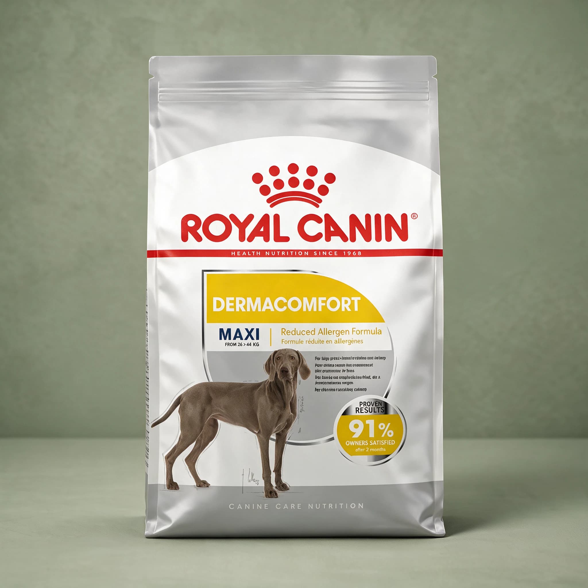 A white and yellow Royal Canin bag labeled "Dermacomfort Maxi" with a reduced-allergen formula callout, standing upright against a sage green studio background.
