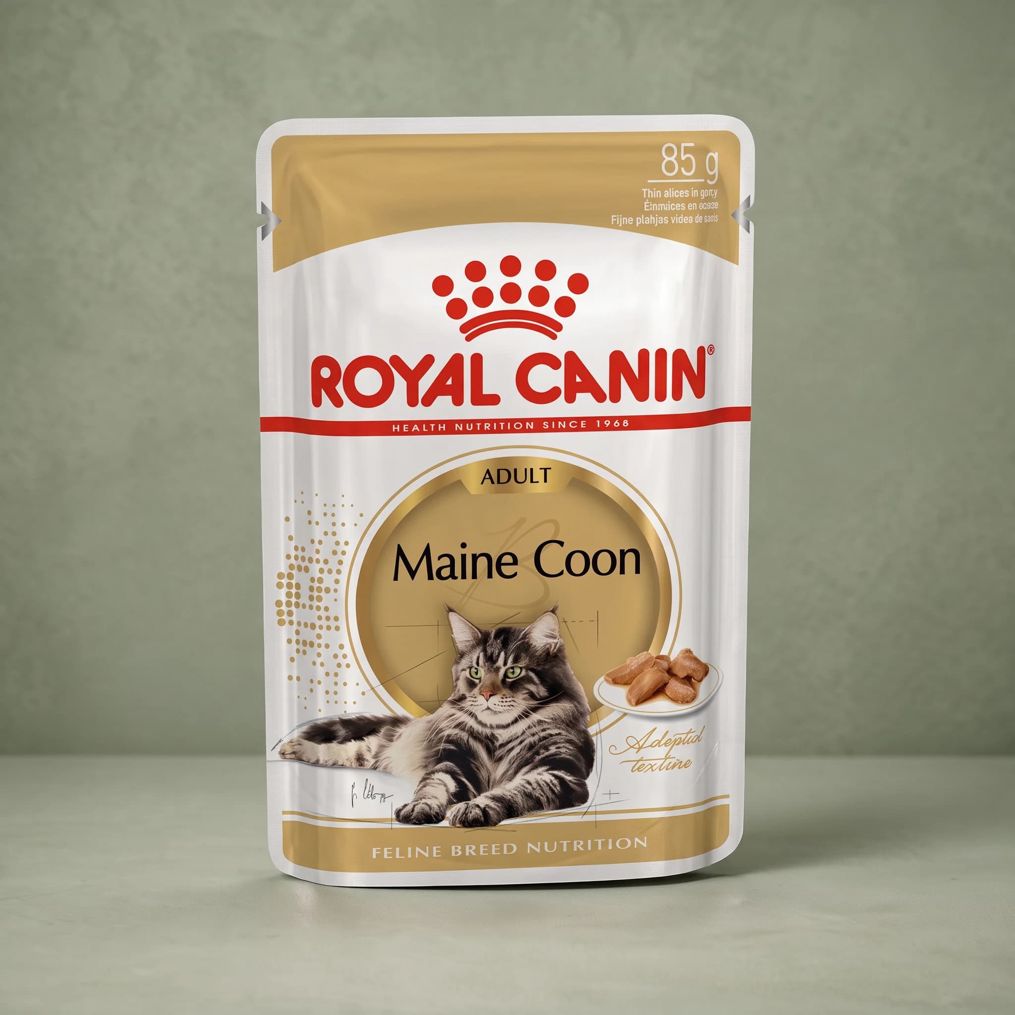 A white Royal Canin Maine Coon Adult wet cat food pouch featuring an illustration of a Maine Coon cat, photographed against a sage green studio background.