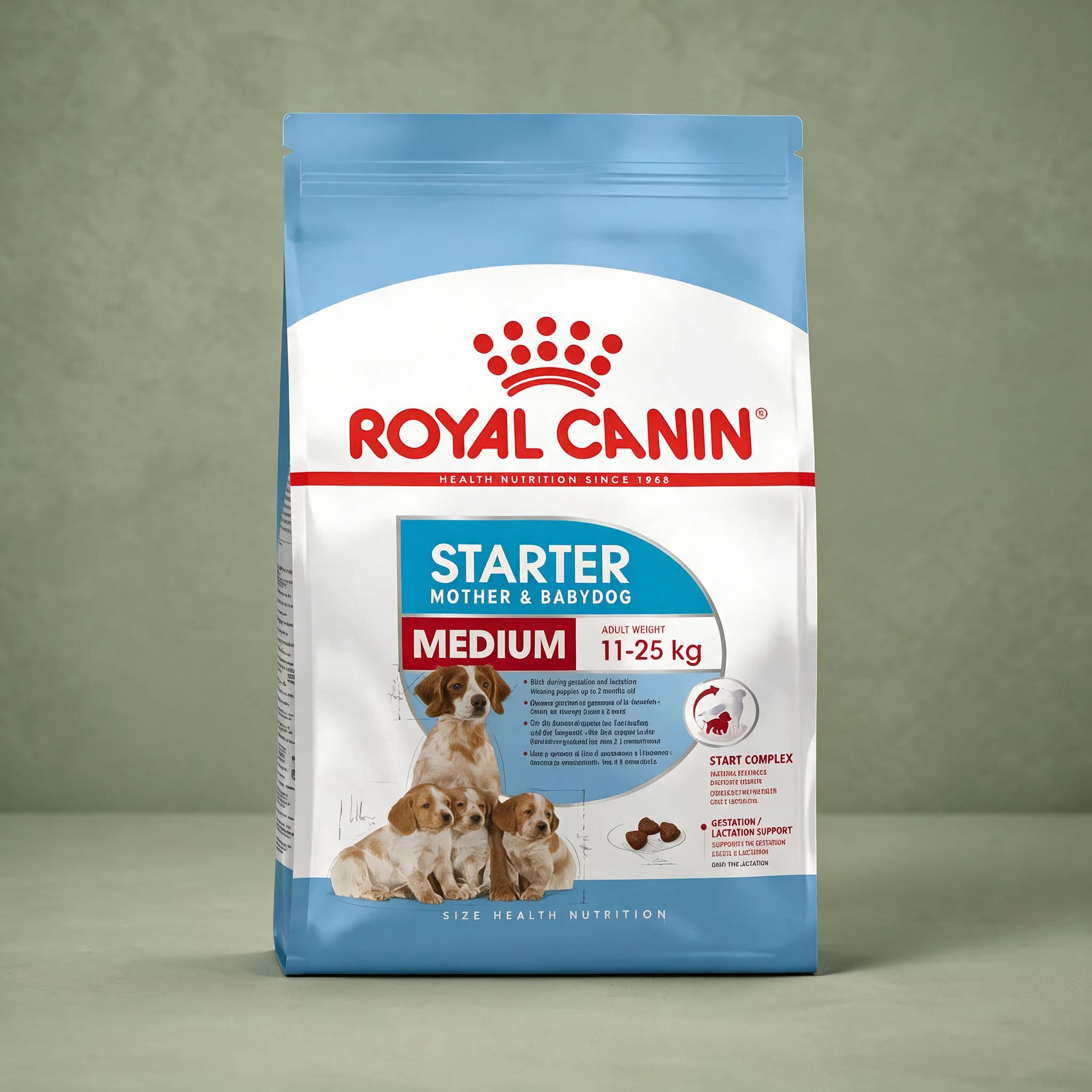 The blue and white Royal Canin "Starter Mother & Babydog Medium" bag with the red crown logo, adult weight 11-25kg, and an illustration of a mother dog with puppies, photographed against a plain sage green studio background.