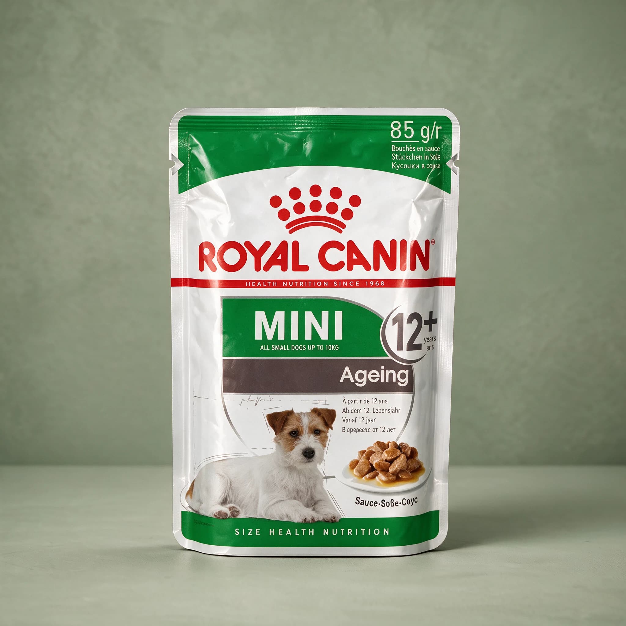 The green and white 85g Royal Canin Mini Ageing 12+ wet dog food pouch, featuring an illustration of a white and tan Jack Russell-type terrier lying beside a plate of chunks in sauce, photographed against a plain sage green studio background.