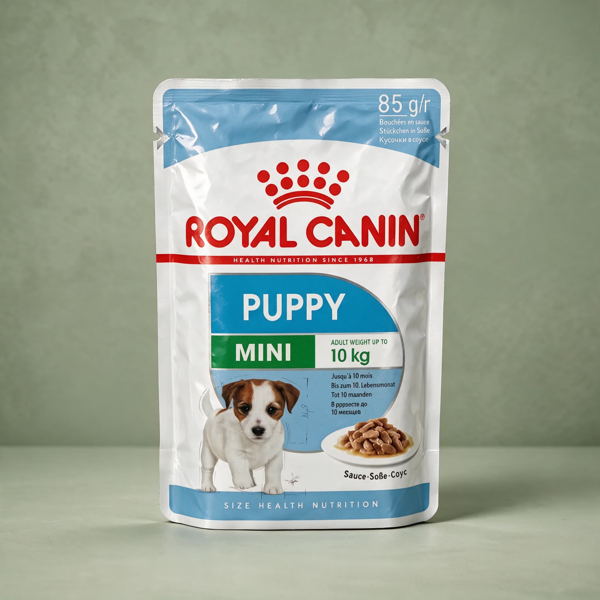 A light blue and white Royal Canin foil pouch labeled "Puppy Mini," 85g chunks in sauce, printed with a Jack Russell Terrier puppy illustration, standing upright against a sage green studio background.