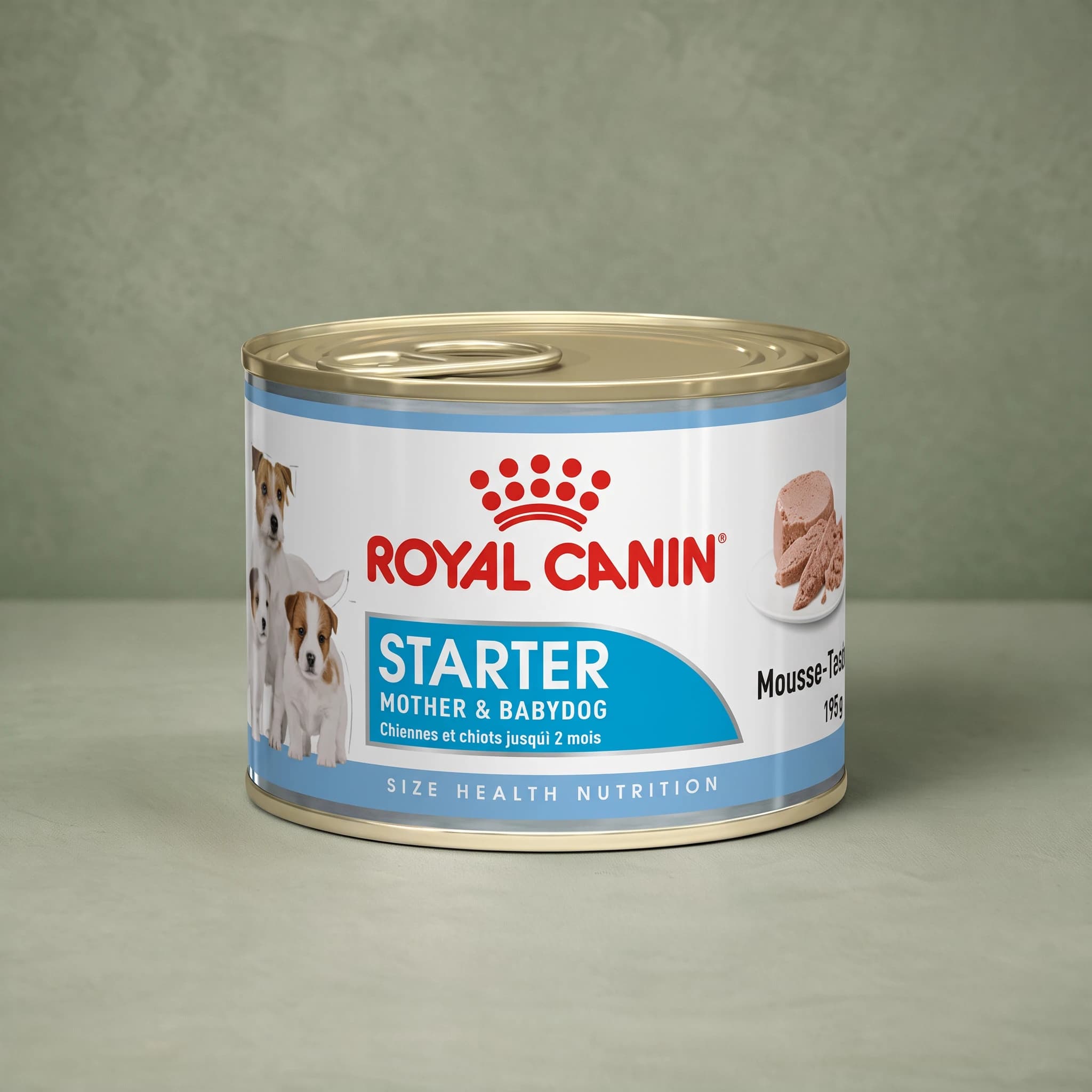 A gold-topped tin can of Royal Canin Starter Mother & Babydog mousse wet food, with a white and blue label showing Jack Russell puppies and a photo of the pâté-style mousse, against a sage green background.